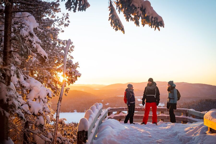 From Montreal: Mont-Tremblant National Park Hiking Day Trip - Leaving Montreal from Metro Radisson at 8:00 AM