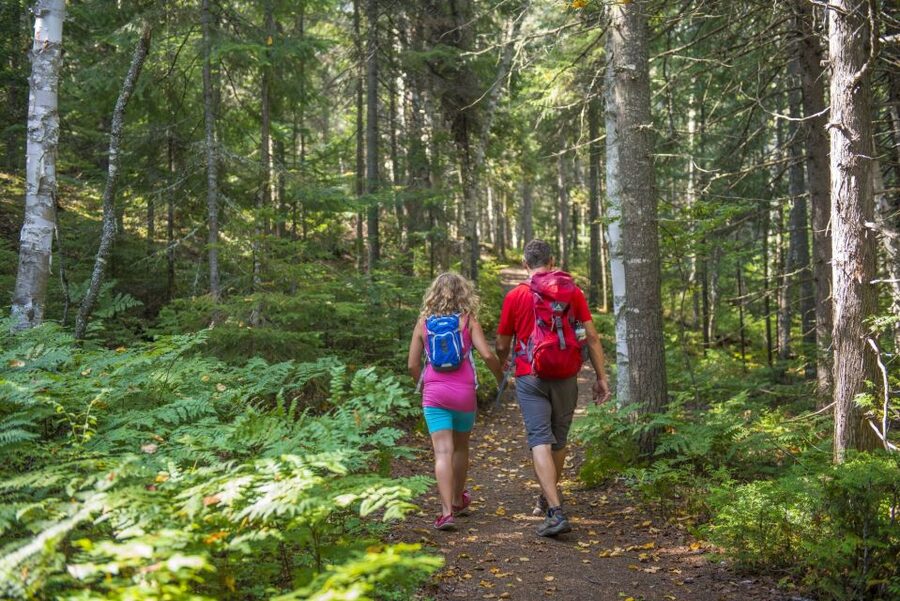 From Montreal: Mont-Tremblant National Park Hiking Day Trip - What $72 buys you