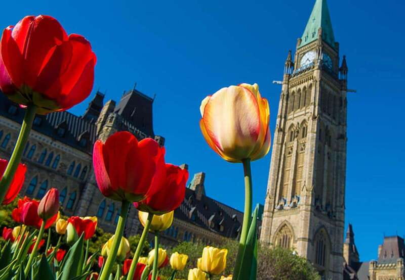 From Montreal: Private Ottawa Full Day Tour - Key points to know before booking
