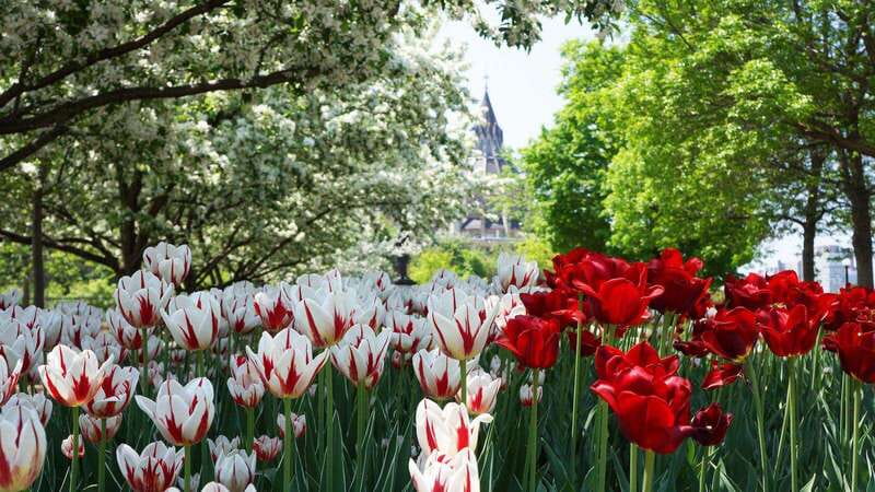 From Montreal: Private Ottawa Full Day Tour - The Rideau Canal and Ottawa’s central sights