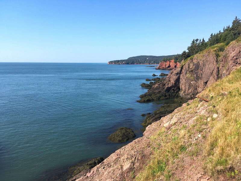 From Saint John: Bay of Fundy Bus Trip for Cruise Passengers - Key points to know before booking