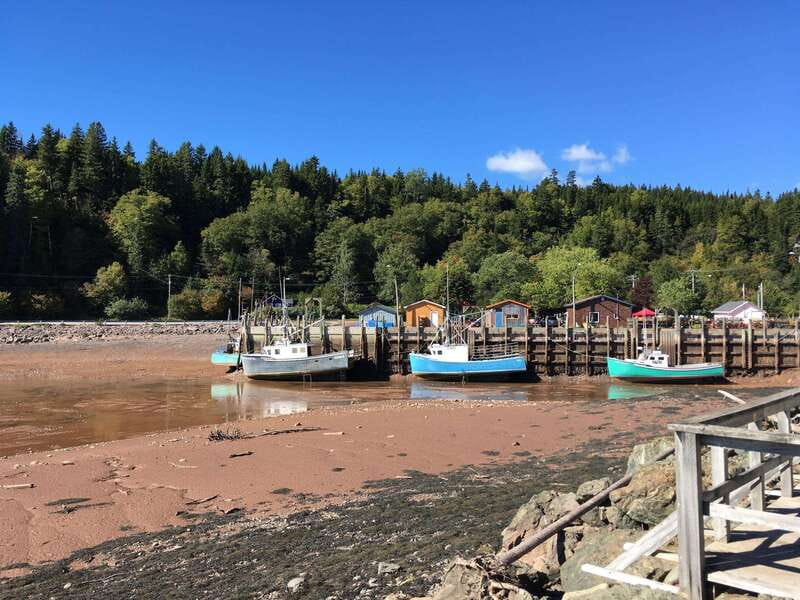 From Saint John: Bay of Fundy Bus Trip for Cruise Passengers - Fort Howe and Saint John’s defenses