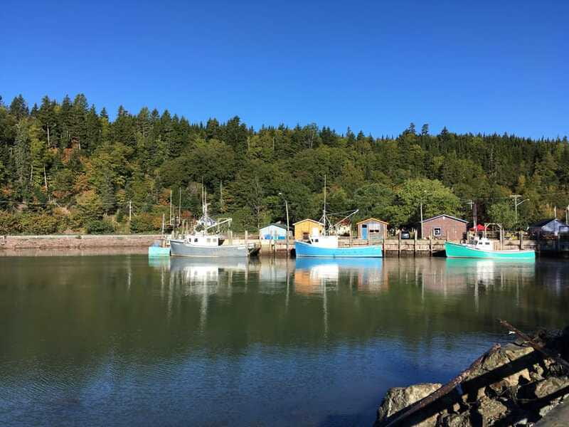 From Saint John: Bay of Fundy Bus Trip for Cruise Passengers - Who should book this Saint John excursion?