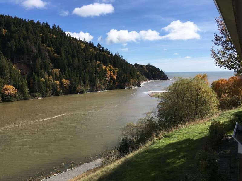 From Saint John: Bay of Fundy Bus Trip for Cruise Passengers - Hearing the Reversing Falls Rapids