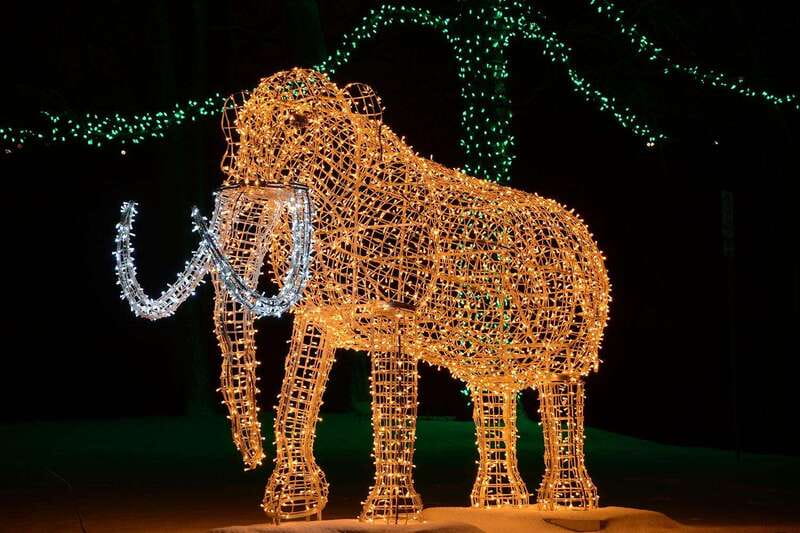 From Toronto: Winter Festival of Lights Niagara Falls Tour - Optional Journey Behind the Falls and Skylon Tower