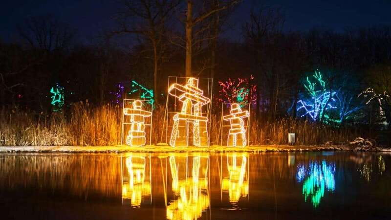 From Toronto: Winter Festival of Lights Niagara Falls Tour - The Winter Festival of Lights after dark