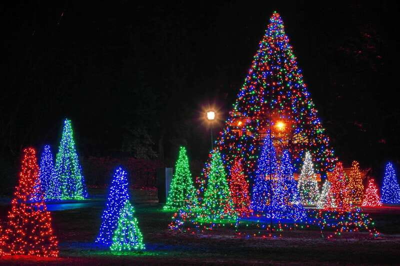 From Toronto: Winter Festival of Lights Niagara Falls Tour - Who will get the most from this Niagara trip