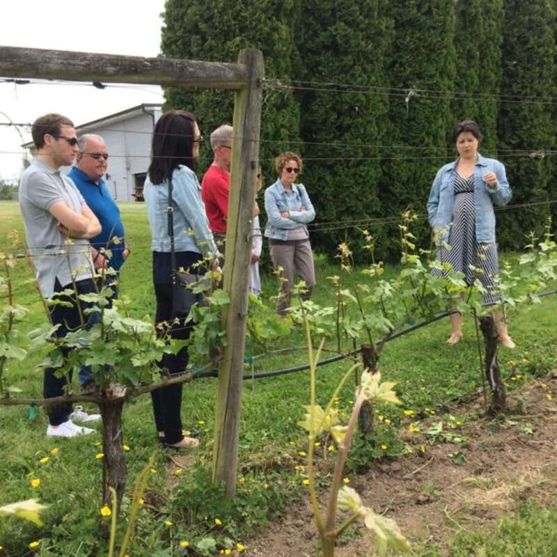 From Vancouver: Fraser Valley Wine Tour with Local Tastings - Booking and cancellation details