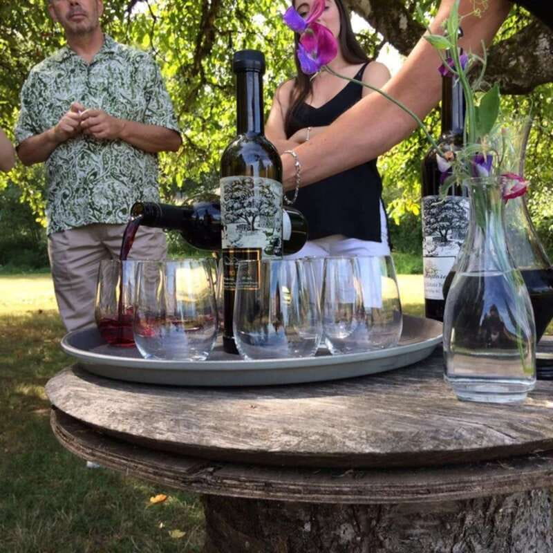 From Vancouver: Fraser Valley Wine Tour with Local Tastings - Who will enjoy this Fraser Valley outing most