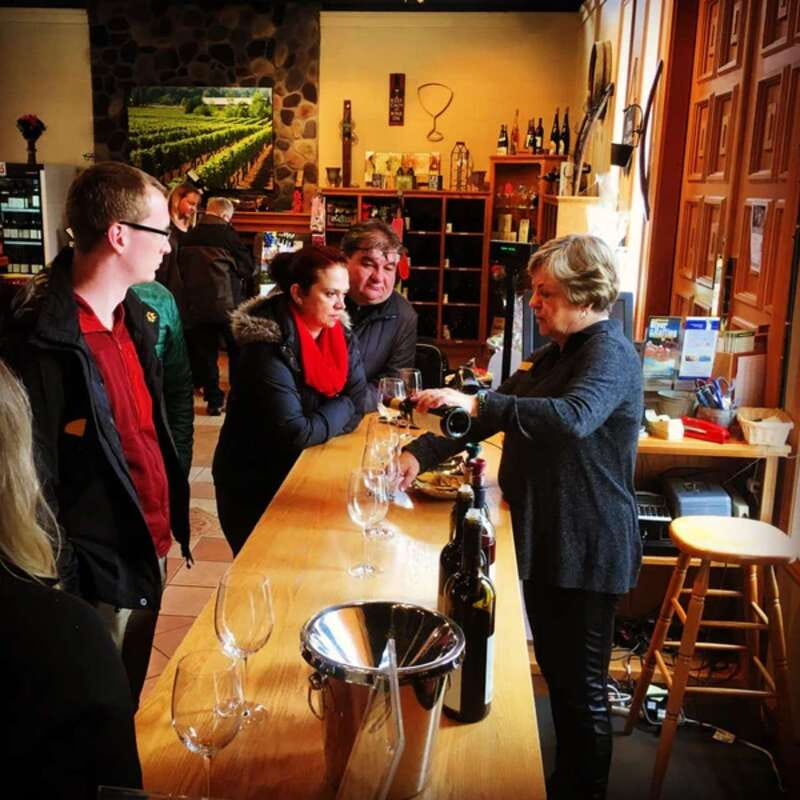 From Vancouver: Fraser Valley Wine Tour with Local Tastings - Backyard Wines, tasting with cheese and charcuterie