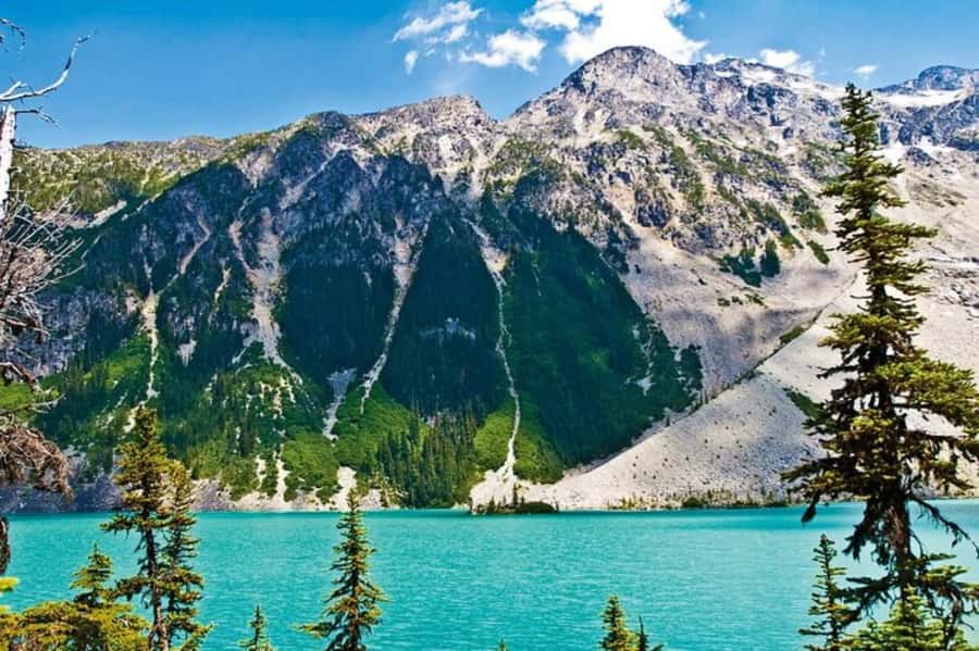 From Vancouver: Whistler Tour with Shannon Falls and Gondola - Three hours in Whistler means choosing your priorities