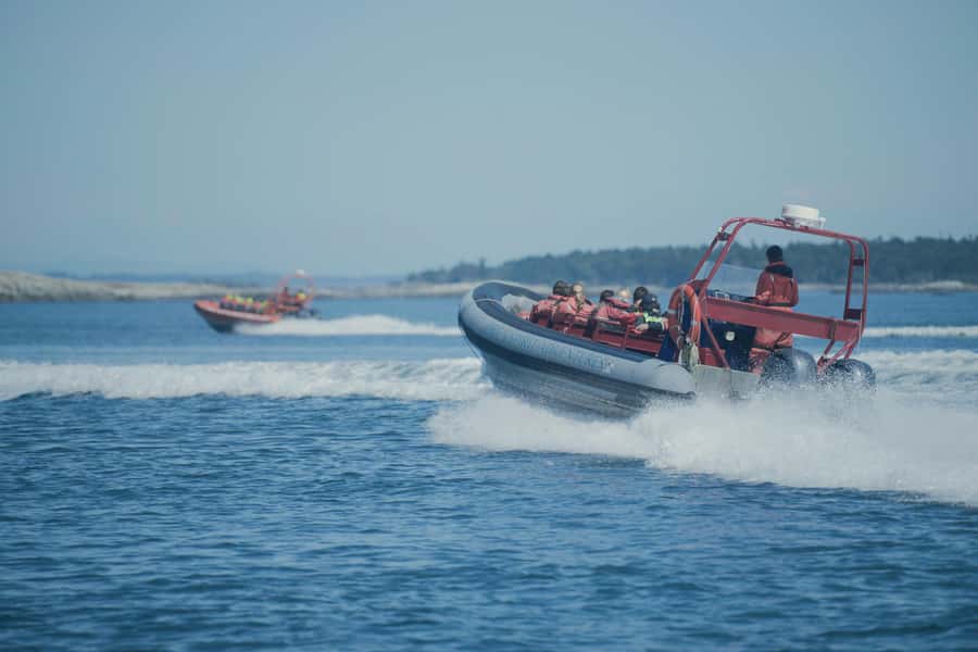 From Victoria: Whale Watching Marine Wildlife Excursion - Booking flexibility and practical planning