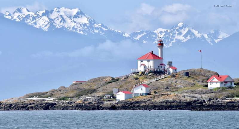 From Victoria: Whale Watching Tour by Zodiac Boat - Who will enjoy this most?