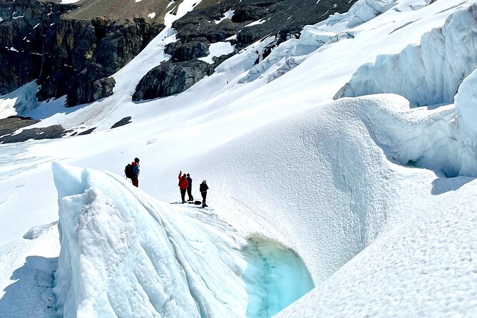 Full Day Guided Glacier Hike on The Athabasca with IceWalks - What the guides add to the experience