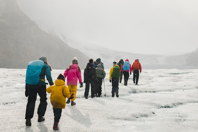 Full Day Guided Glacier Hike on The Athabasca with IceWalks - The 10-kilometer walk toward the glacier