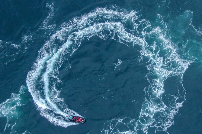Full Day Whale Watching Campbell River - What the guides add to the experience