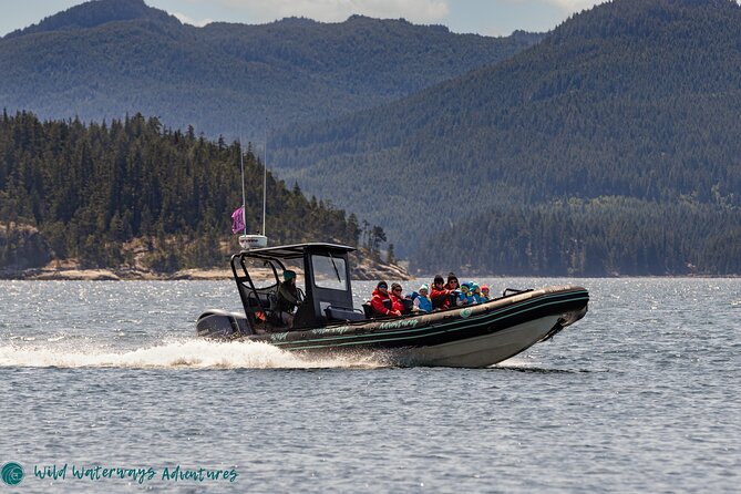 Full Day Whale Watching Campbell River - Leaving Quathiaski Cove at 9 a.m.