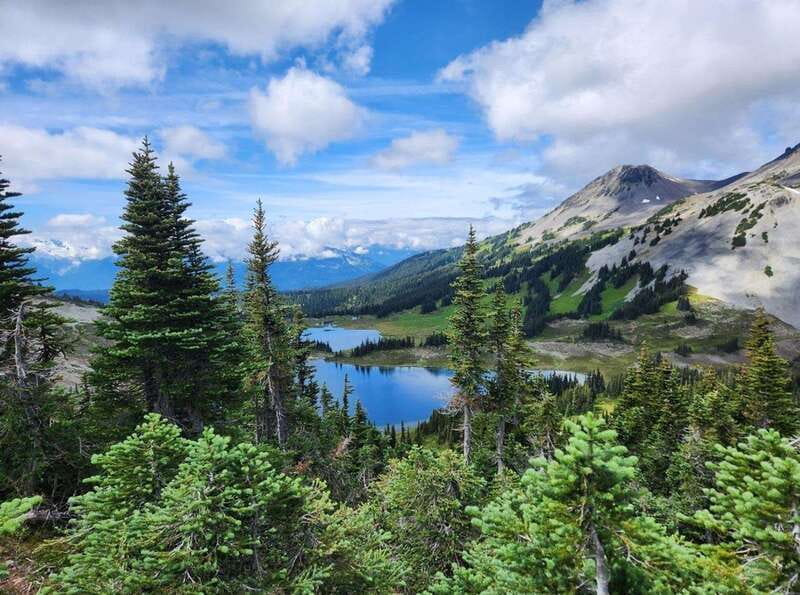 Garibaldi Park/ Panorama Ridge/ Hiking Day Trip - Key points to know before you book