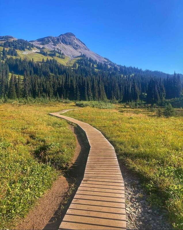Garibaldi Park/ Panorama Ridge/ Hiking Day Trip - Why Panorama Ridge is worth the hard climb