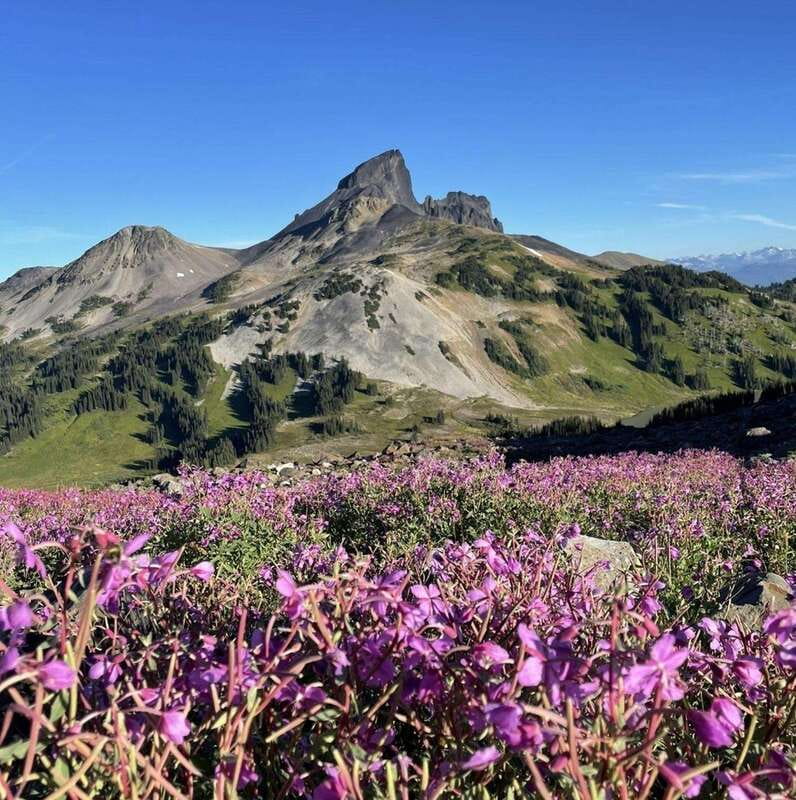 Garibaldi Park/ Panorama Ridge/ Hiking Day Trip - The Sea to Sky Highway makes the drive part of the day