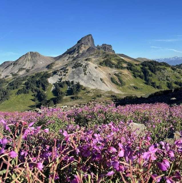 Garibaldi Park/ Panorama Ridge/ Hiking Day Trip - Whistler adds a relaxed finish