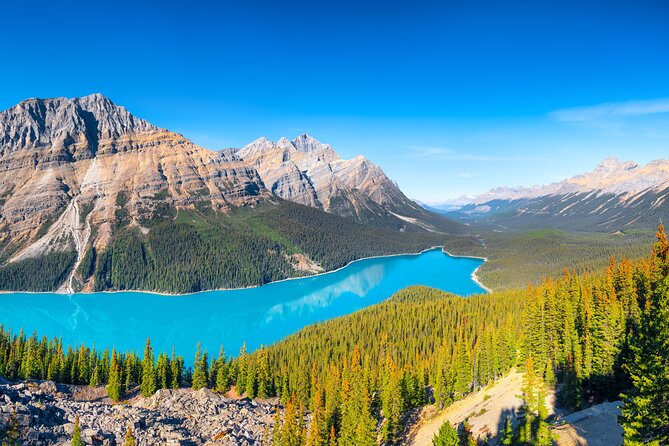 Glacier Adventure on the Icefields Parkway Hidden Gems Skywalk - A closer look at the $347.95 price