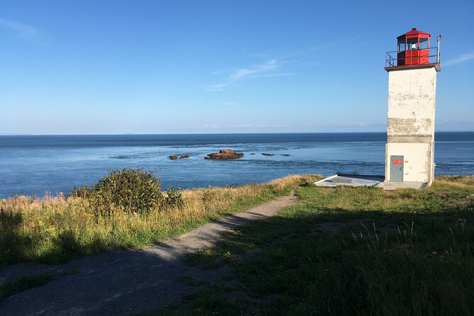 Go Fundy Tours - Key points to know before you book