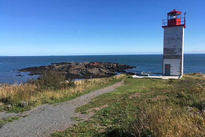 Go Fundy Tours - Three hours among Fundy Trail’s viewpoints