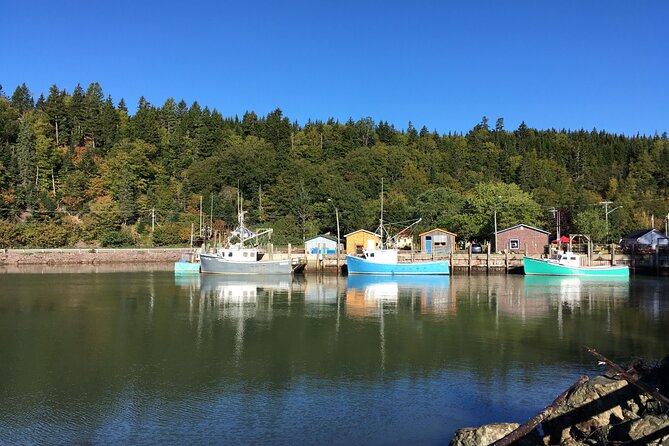 Go Fundy Tours - Guides who shape the day
