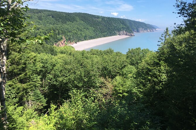 Go Fundy Tours - Practical details that can change your day