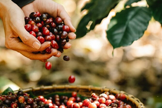 Granby Zoo 1 Day - Fruit picking adds a seasonal farm stop