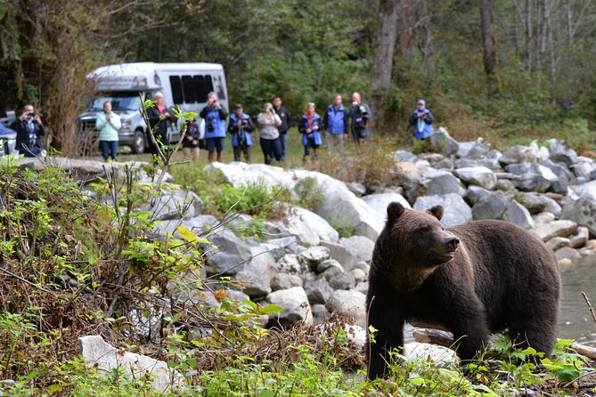 Great Bears of Bute: Grizzly Bear Viewing & Indigenous Cultural Tour - Why this Campbell River bear tour feels different
