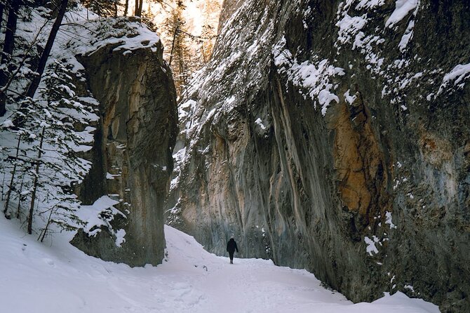 Grotto Canyon Majestic Ice Walk tour from Banff, Calgary, Canmore - Why Grotto Canyon works so well in winter