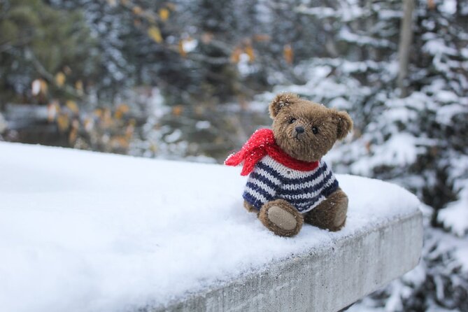 Grotto Canyon Majestic Ice Walk tour from Banff, Calgary, Canmore - The vehicle ride may add scenic value