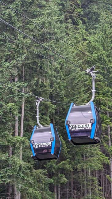 Grouse Mnt+StanleyPark+Hatchery+Cleveland Dam+LynnCanyonTOUR - Capilano Lake and Cleveland Dam in quick succession