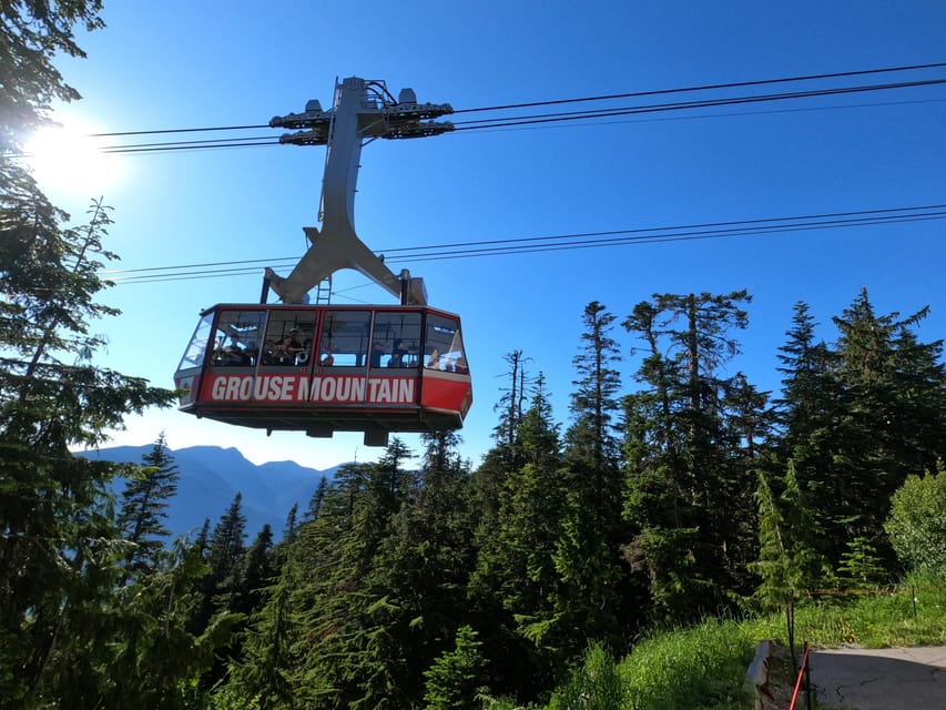 Grouse Mnt+StanleyPark+Hatchery+Cleveland Dam+LynnCanyonTOUR - Capilano River Regional Park and the coastal forest