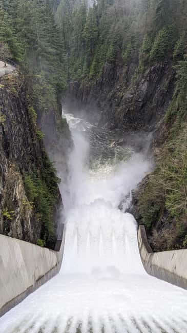 Grouse Mnt+StanleyPark+Hatchery+Cleveland Dam+LynnCanyonTOUR - What the $145 price really includes