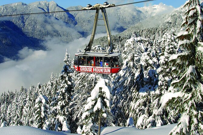 Grouse Mountain Admission Ticket - The Skyride up to Peak Chalet