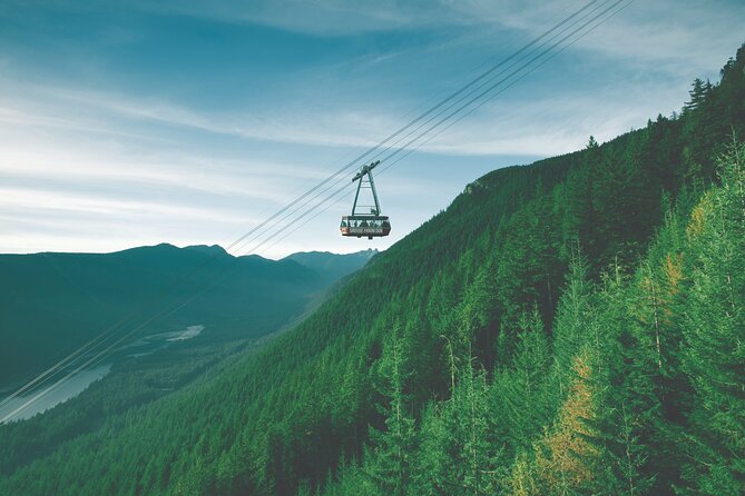 Grouse Mountain Admission Ticket - Summer at Grouse Mountain: bears, birds, and lumberjacks