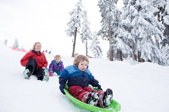 Grouse Mountain Admission Ticket - The value of the $66.24 admission