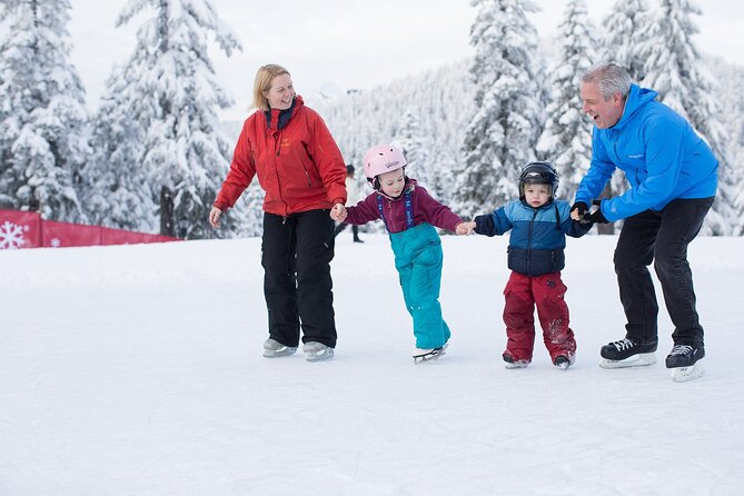 Grouse Mountain Admission Ticket - Peak Chalet, films, food, and mountain views