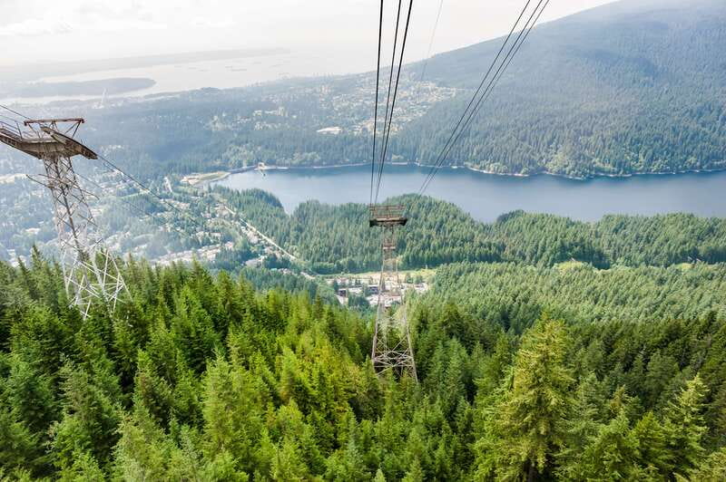 Grouse Mountain, Capilano Bridge & Fish Hatchery Tour - Key points to know before booking