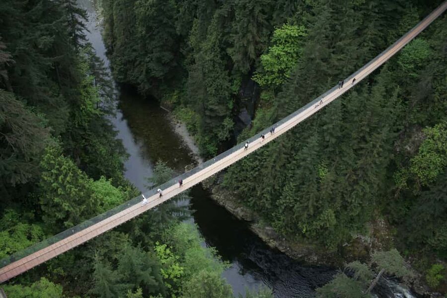 Grouse Mountain, Capilano Bridge & Fish Hatchery Tour - A short stop at Capilano River Salmon Hatchery