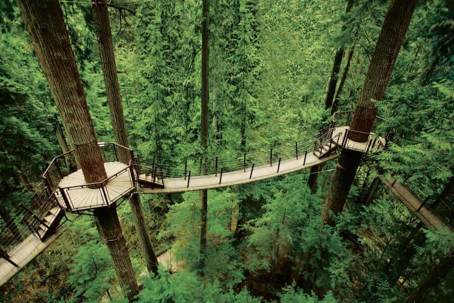 Grouse Mountain, Capilano Bridge & Fish Hatchery Tour - Timing, transport, and the value of $192