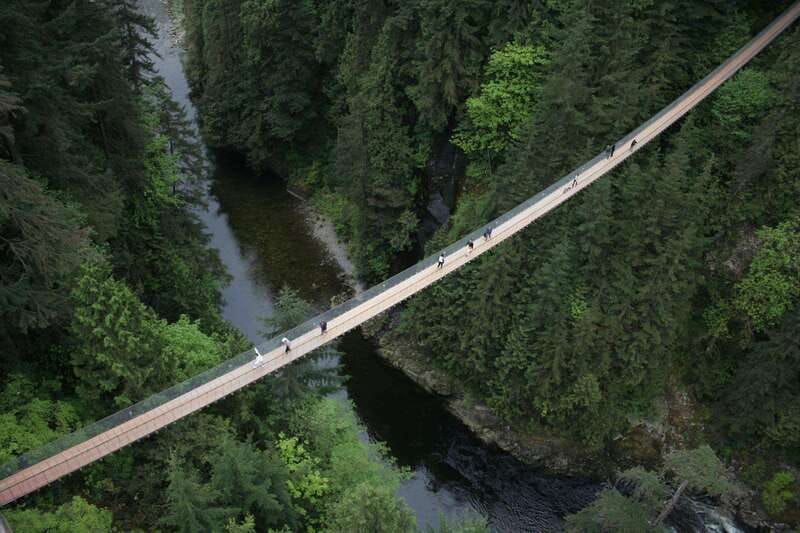 Grouse Mountain, Capilano Bridge & Fish Hatchery Tour - Who will get the most from this North Shore day?