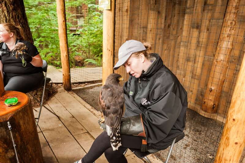 Grouse Mountain, Capilano Bridge & Fish Hatchery Tour - FAQ