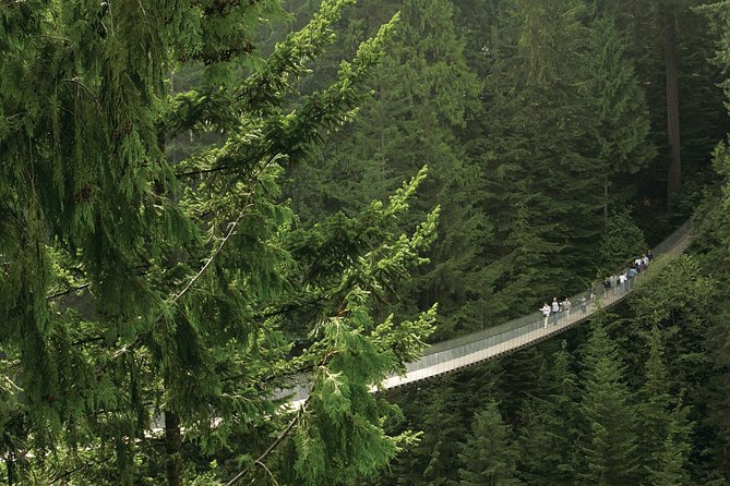 Grouse Mountain & Capilano Bridge Tour with Fish Hatchery - Why this tour works for a first Vancouver visit