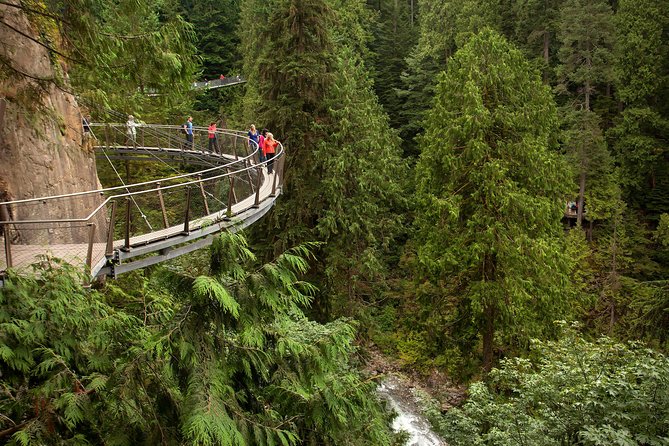 Grouse Mountain & Capilano Bridge Tour with Fish Hatchery - Is $198.29 good value?