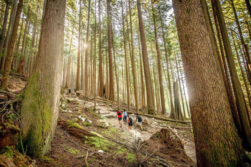 Grouse Mountain Skyride Admission Ticket - What costs extra, and where the $64 ticket earns its keep