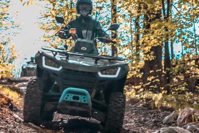 Guided ATV Adventure Tours in Kaladar - Is this suitable for beginners and families?